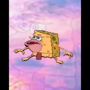 Meet your Posher, Bailey